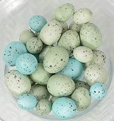 artificial bird eggs