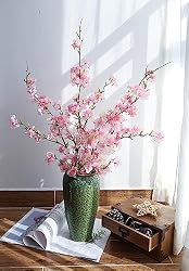 cherry blossom branches