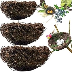 birds nest