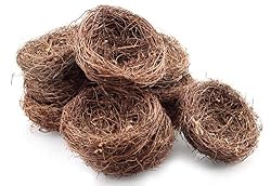 mini nests