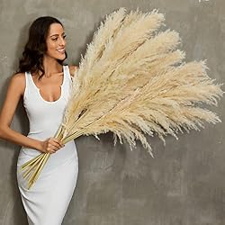tall pampas grass