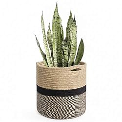 plant basket
