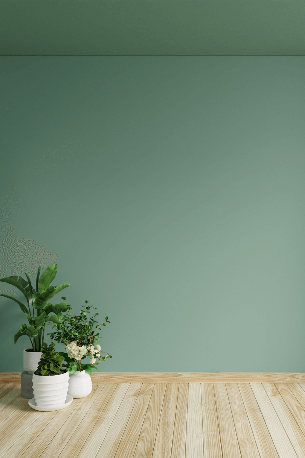 empty living room corner ideas