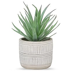 small fake plant