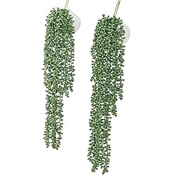 string of pearls
