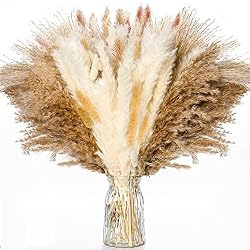 pampas grass