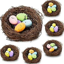small bird nests