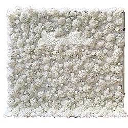 white rose backdrop