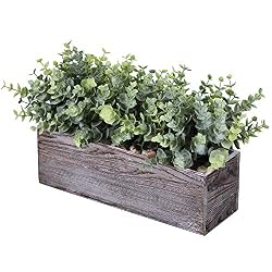 wood box with greenery