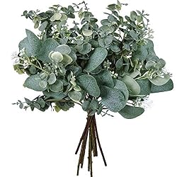 eucalyptus stems