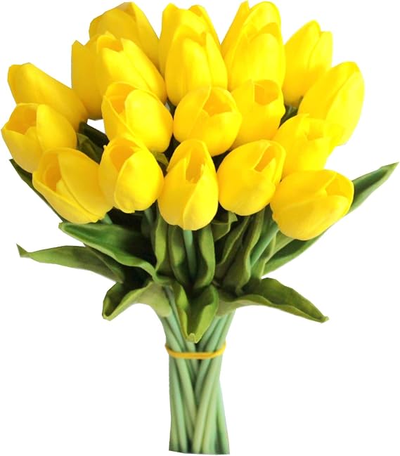 yellow tulips