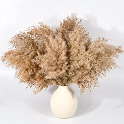 brown pampas grass