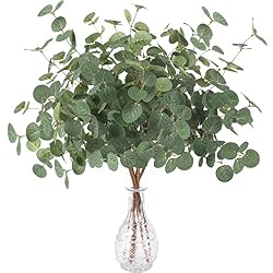 eucalyptus in clear vase