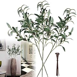 olive branches