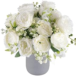white peonies