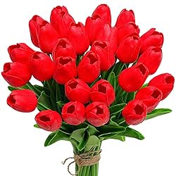 red tulips