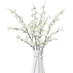 cherry blossom stems