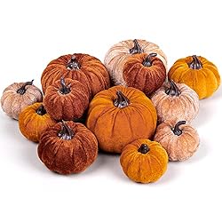 small velvet pumpkins