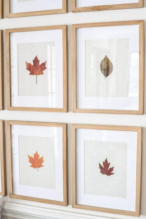 leaf gallery wall