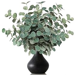 eucalyptus stems