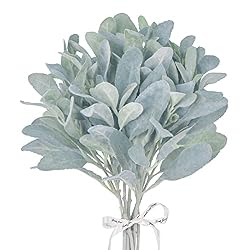 lambs ear leaves