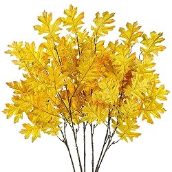oak leaves