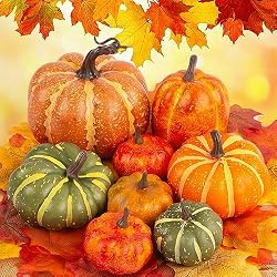 pumpkins