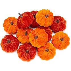velvet pumpkins