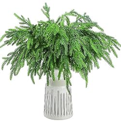 christmas branches