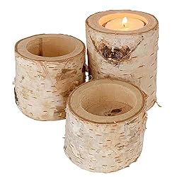 birch candle holders