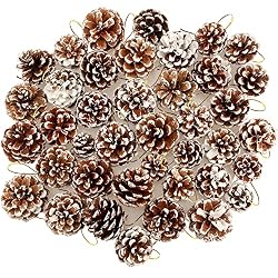 pine cones