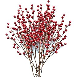 red berry branches
