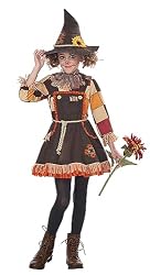 scarecrows costume