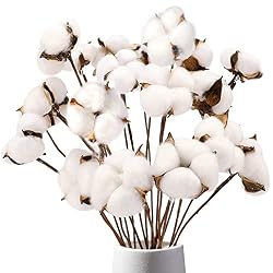 cotton stems