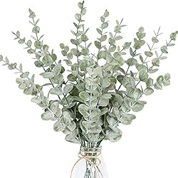 eucalyptus stems
