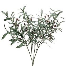 olive stems