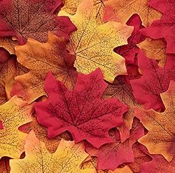 fall leaves