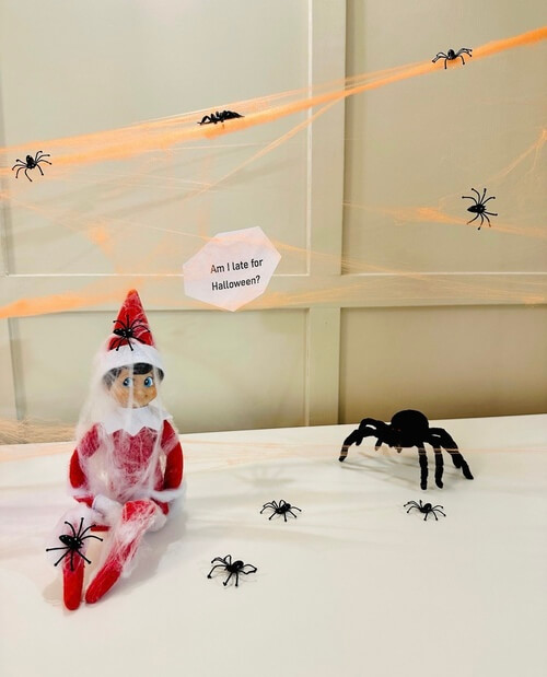 spider web elf