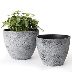 cement planters