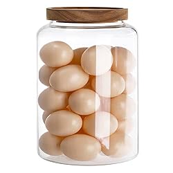 large jar for nespresso pods