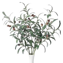 olive stems