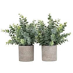 fake plants