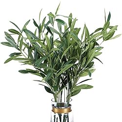 tall olive leaves