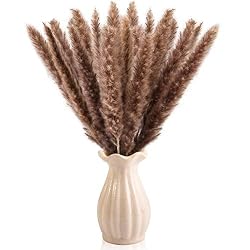 brown pampas grass