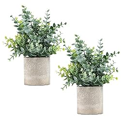 small fake plants