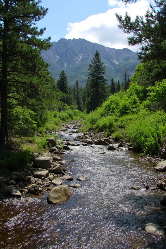 windswept rugged mountain trail